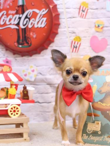 20230918れおくん